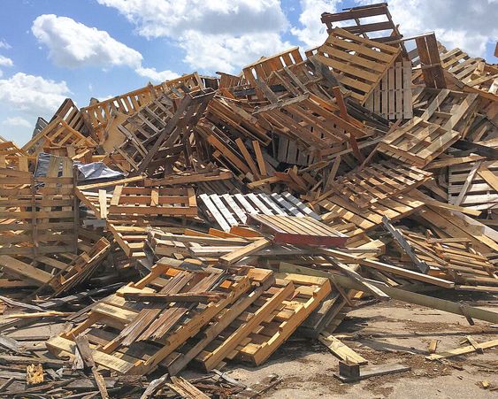 A large pile of unprocessed clean wood