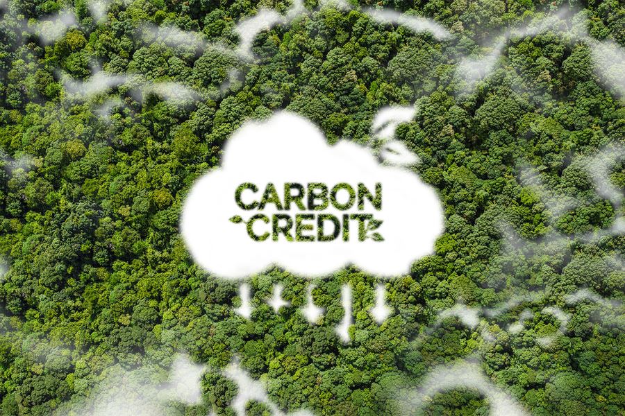 Carbon-Credit-Image