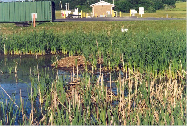 GLRA's Natural Aquatic Life Treatment System (NALTS)